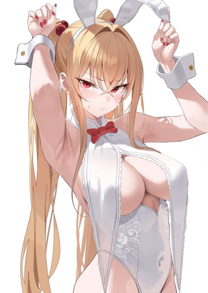 おっぱいの部分をペロンとめくってあげたい暖簾みたいなエロい服の画像まとめ1 18枚目