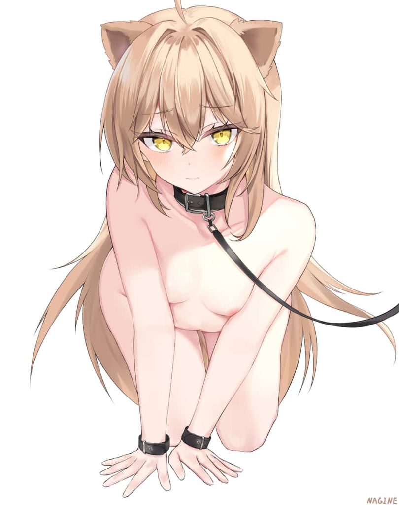 性処理ペット扱いされて感じちゃう女の子のエロ画像まとめ2 7枚目